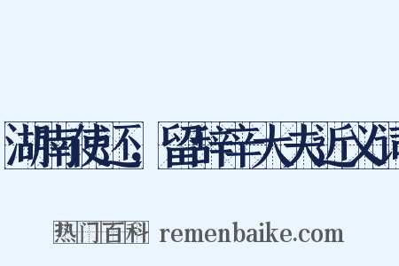 湖南使还，留辞辛大夫近义词是什么意思的图片